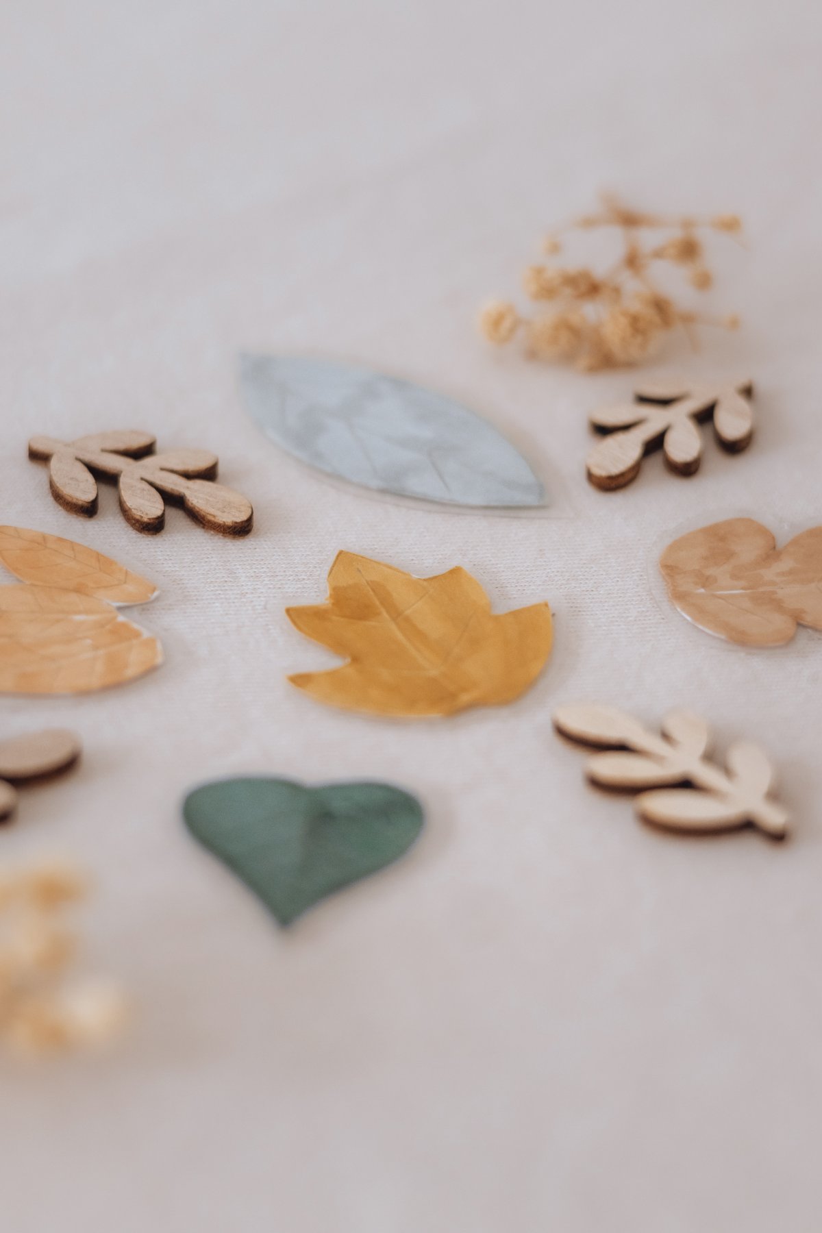 Feuilles et petits cœurs en bois colorés à choisir pour décorer son arbre des valeurs — Entre Deux