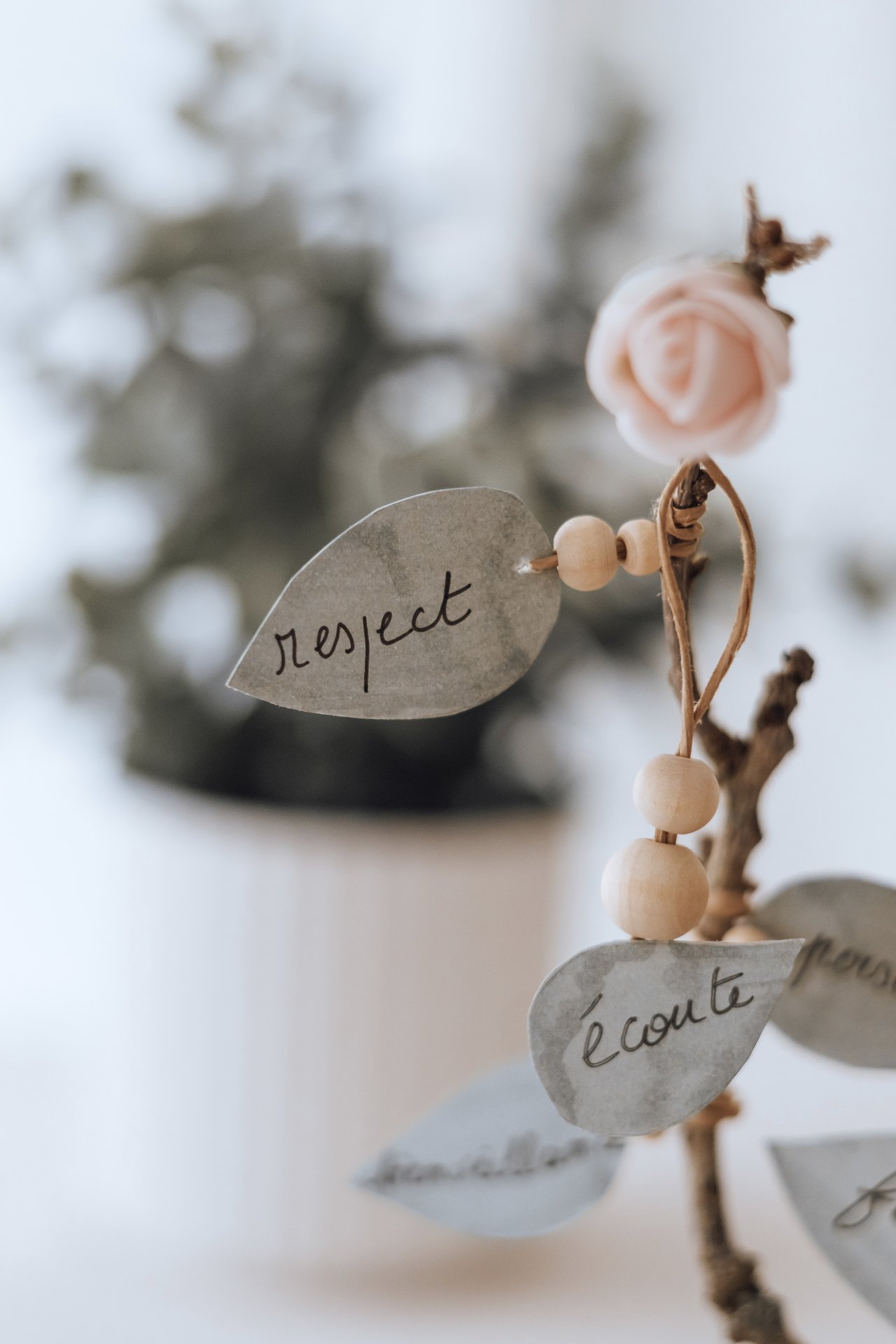 Gros plan sur une feuille calligraphiée et une fleur rose accrochées à l'arbre — Entre Deux