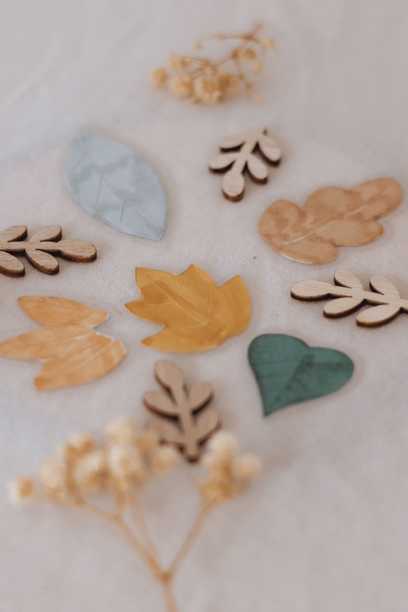 Feuilles peintes et petits cœurs découpés, le matériel de l'arbre des valeurs avant l'atelier — Entre Deux